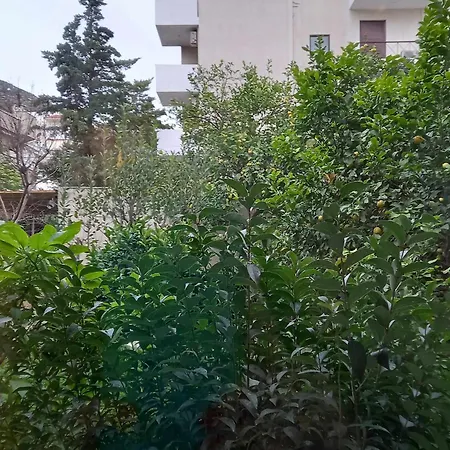 Apartament Citrus Dream *